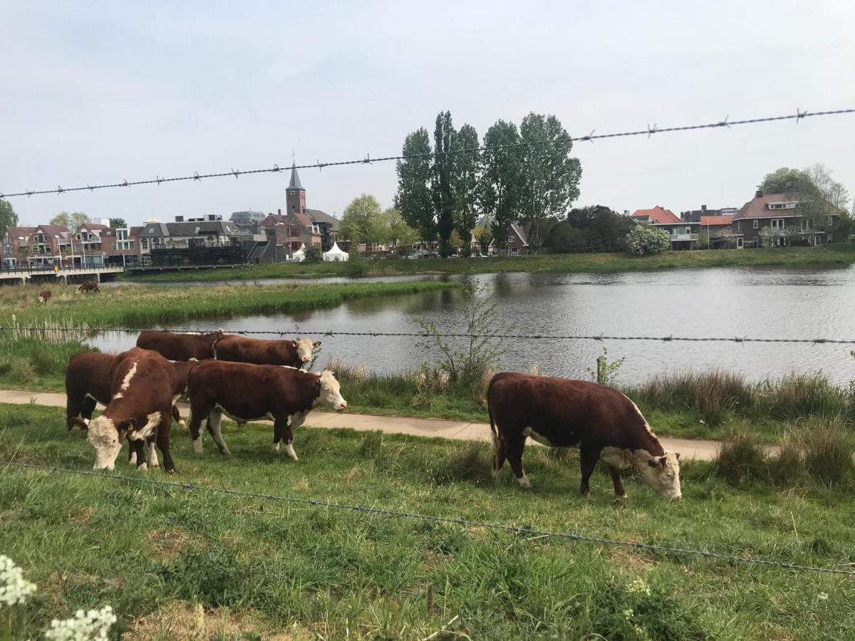 B&B Tussen Vecht En Veer Hardenberg Exterior photo